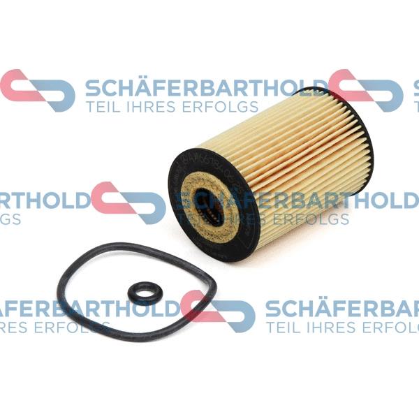 Oil Filter (310 12 668 01 11)