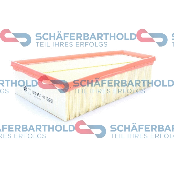 Air Filter (310 06 210 01 11)