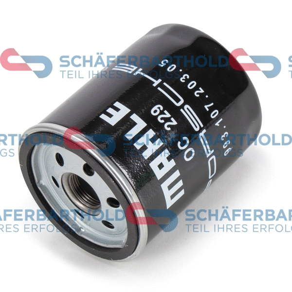 Oil Filter (310 09 296 01 11)