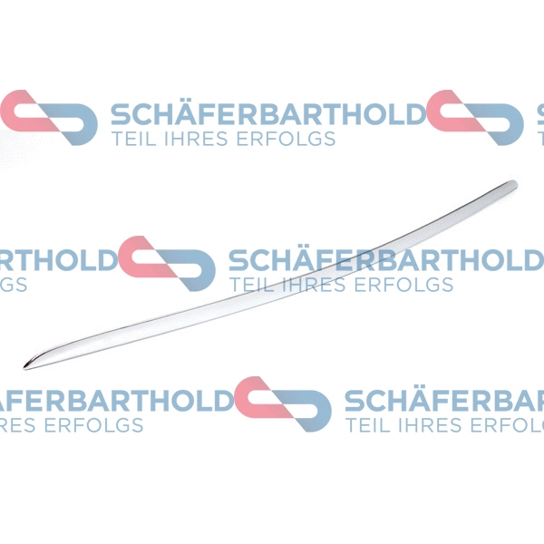 Trim/Protection Strip, door (316 28 119 01 11)