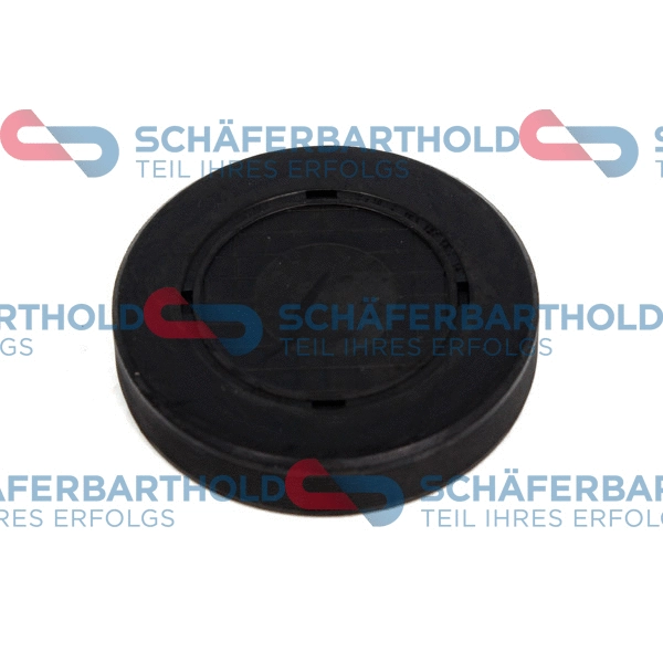 Plug, rocker arm shaft mounting bore (313 28 437 01 11)