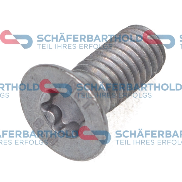 Bolt, brake disc (315 18 429 01 11)