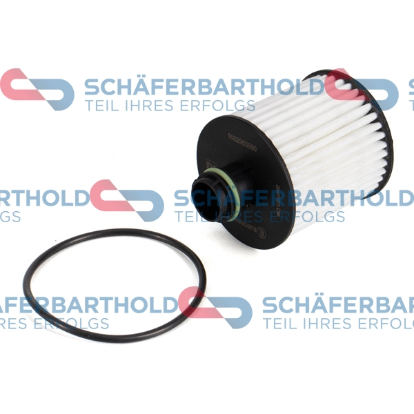 Oil Filter (310 27 309 01 11)