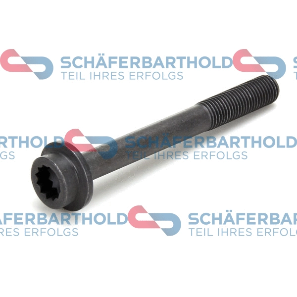 Screw (100 18 315 01 11)