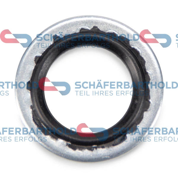 Seal Ring, coolant pipe (313 16 044 01 22)