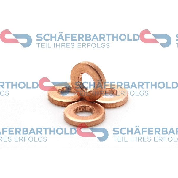 Seal Ring, nozzle holder (313 27 593 01 11)