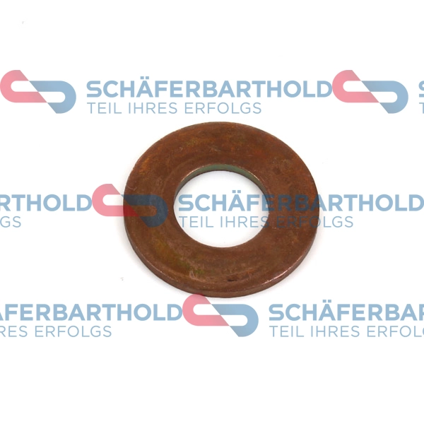 Seal Ring, oil drain plug (921 06 982 01 11)