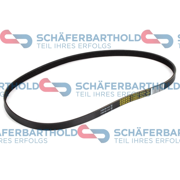 V-Ribbed Belt (300 38 850 01 11)