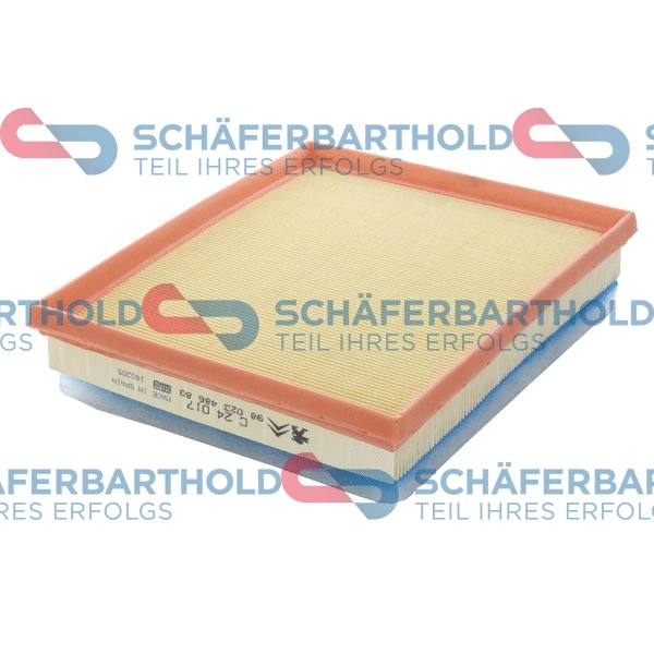 Air Filter (310 27 195 01 11)