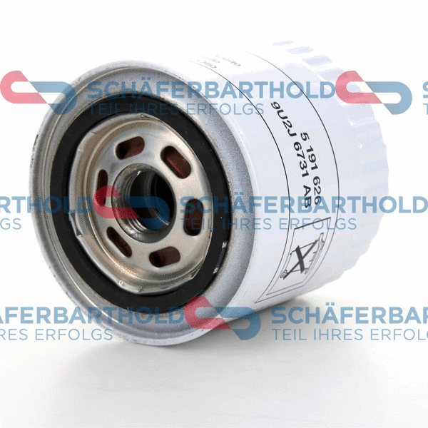 Oil Filter (310 06 253 01 11)