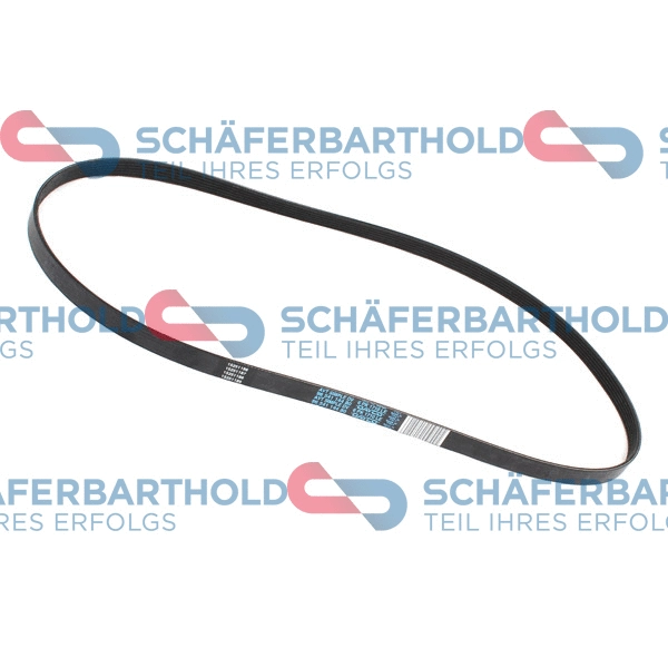 V-Ribbed Belt (300 27 857 01 11)