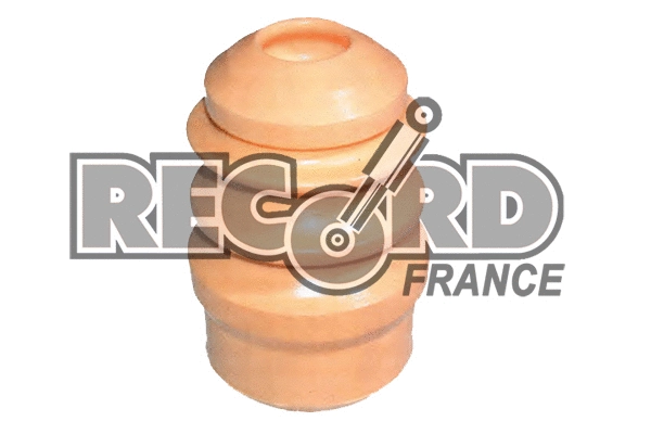 Dust Cover Kit, shock absorber (923938)