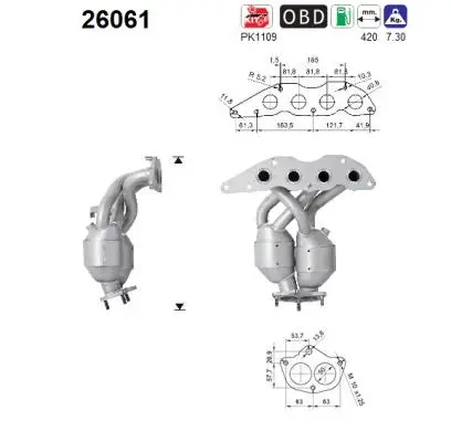 Catalytic Converter (26061)