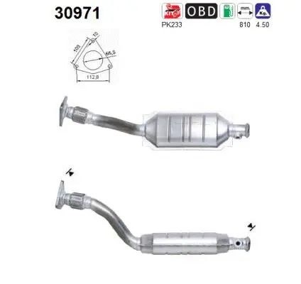 Catalytic Converter (30971)