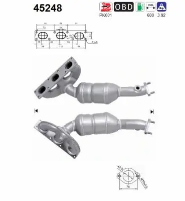 Catalytic Converter (45248)