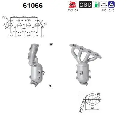 Catalytic Converter (61066)