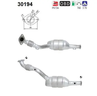 Catalytic Converter (30194)