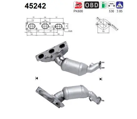 Catalytic Converter (45242)