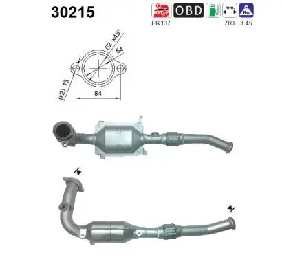 Catalytic Converter (30215)