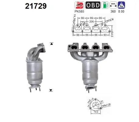 Catalytic Converter (21729)