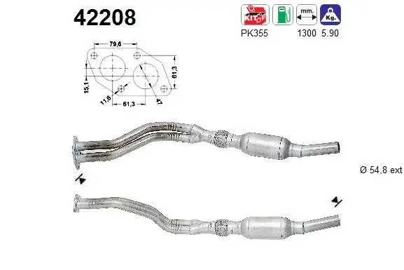 Catalytic Converter (42208)