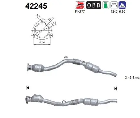 Catalytic Converter (42245)