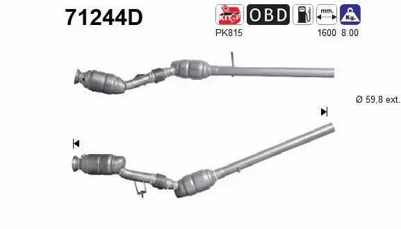 Catalytic Converter (71244D)