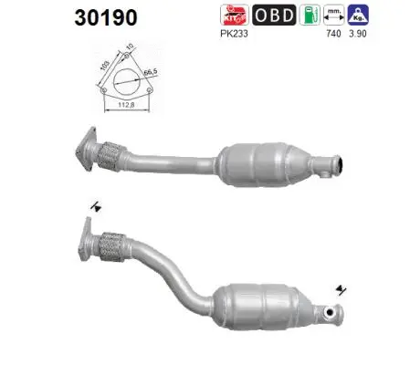 Catalytic Converter (30190)