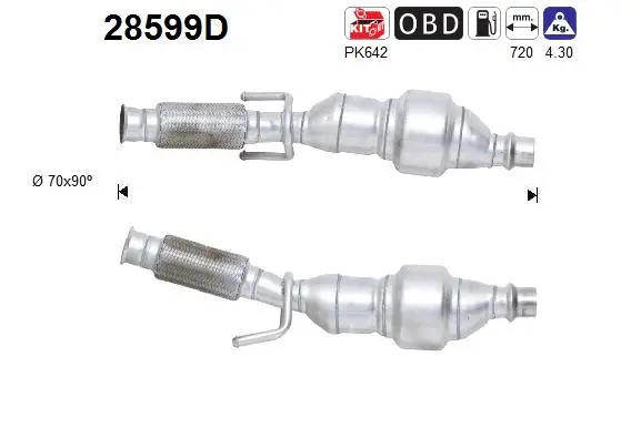 Catalytic Converter (28599D)