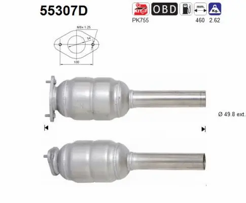 Catalytic Converter (55307D)