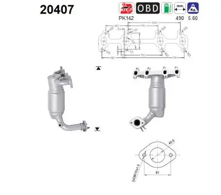 Catalytic Converter (20407)