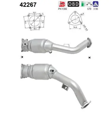 Catalytic Converter (42267)