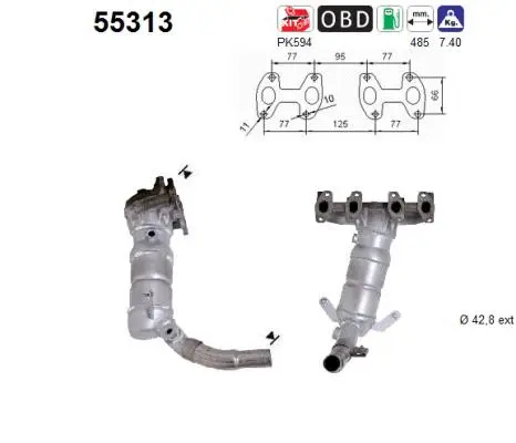 Catalytic Converter (55313)