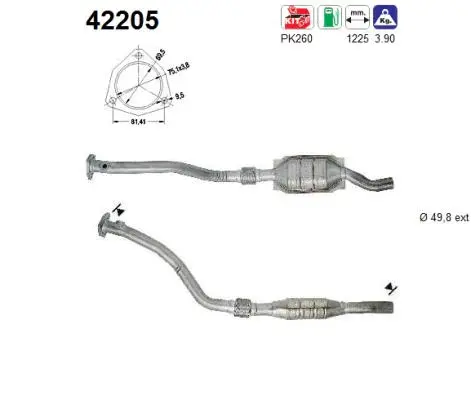 Catalytic Converter (42205)