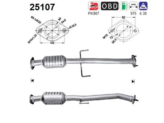 Catalytic Converter (25107)