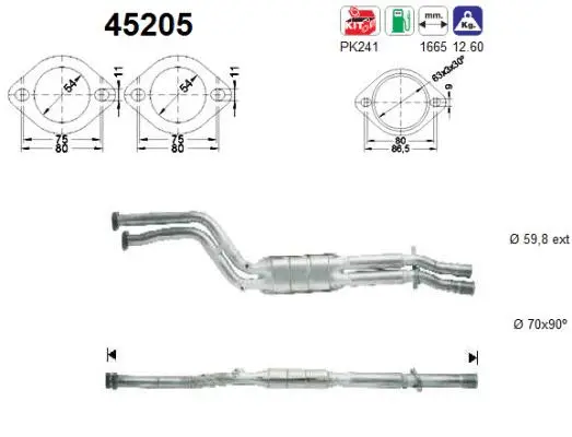 Catalytic Converter (45205)