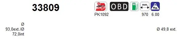 Catalytic Converter (33809)