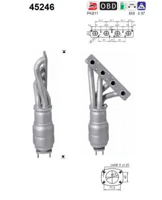 Catalytic Converter (45246)