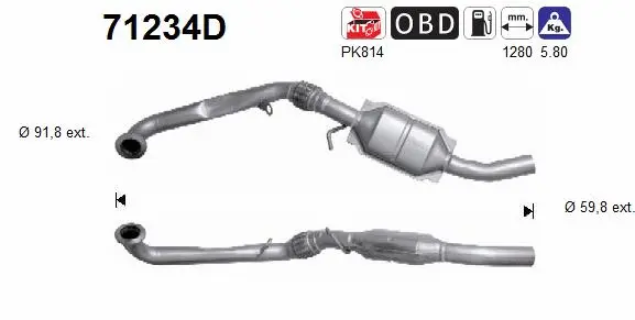 Catalytic Converter (71234D)