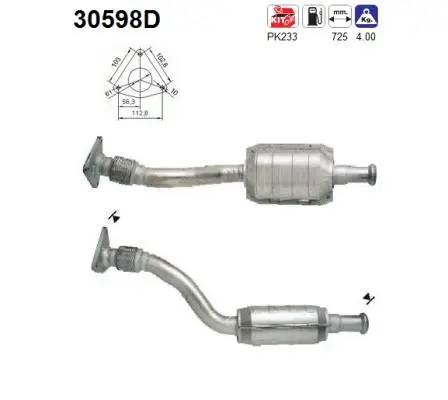 Catalytic Converter (30598D)