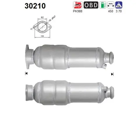 Catalytic Converter (30210)