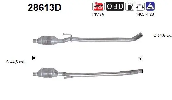 Catalytic Converter (28613D)