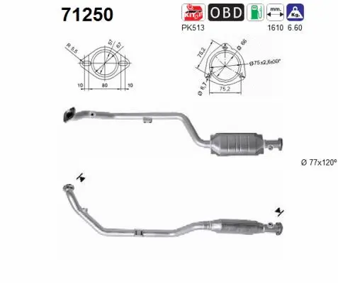 Catalytic Converter (71250)