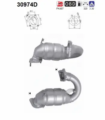 Catalytic Converter (30974D)