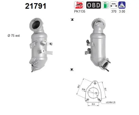 Catalytic Converter (21791)