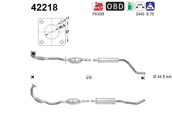 Catalytic Converter (42218)