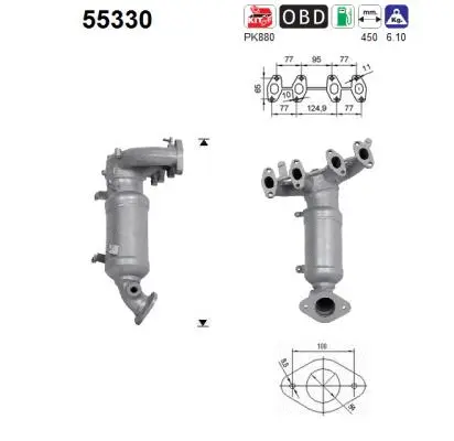 Catalytic Converter (55330)