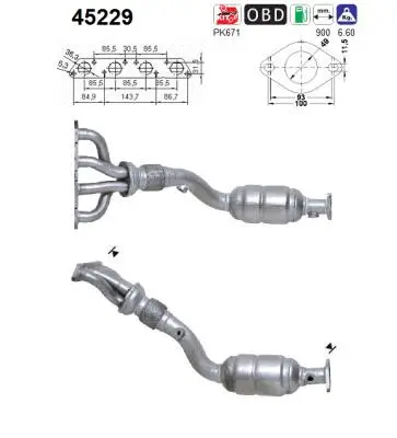 Catalytic Converter (45229)