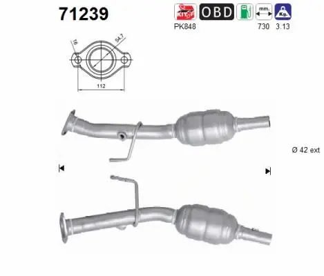 Catalytic Converter (71239)