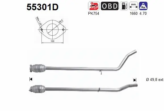 Catalytic Converter (55301D)